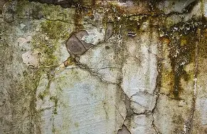 无人机外观与结构完整性检验