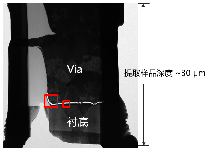 342c5016-9280-4d48-a0ec-97f2795d1017-1