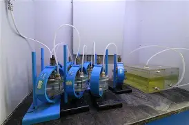 气体腐蚀试验流程详解