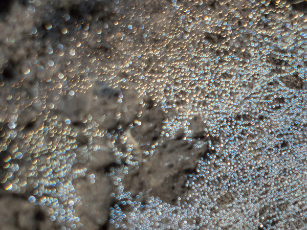 材料表面分析技术(EBSD)测试