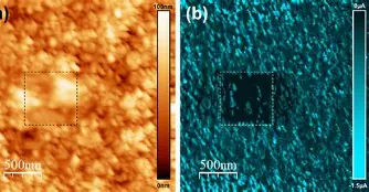 原子力显微镜(AFM)