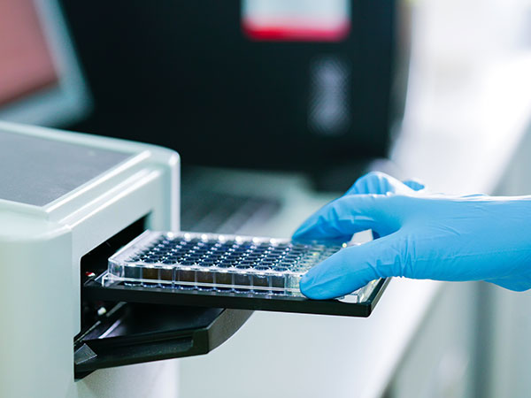 摩托车、电动车头盔检测（新国标）