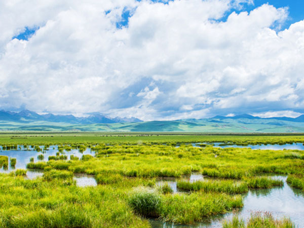 游泳池、攀岩、潜水、滑雪（高危）检测