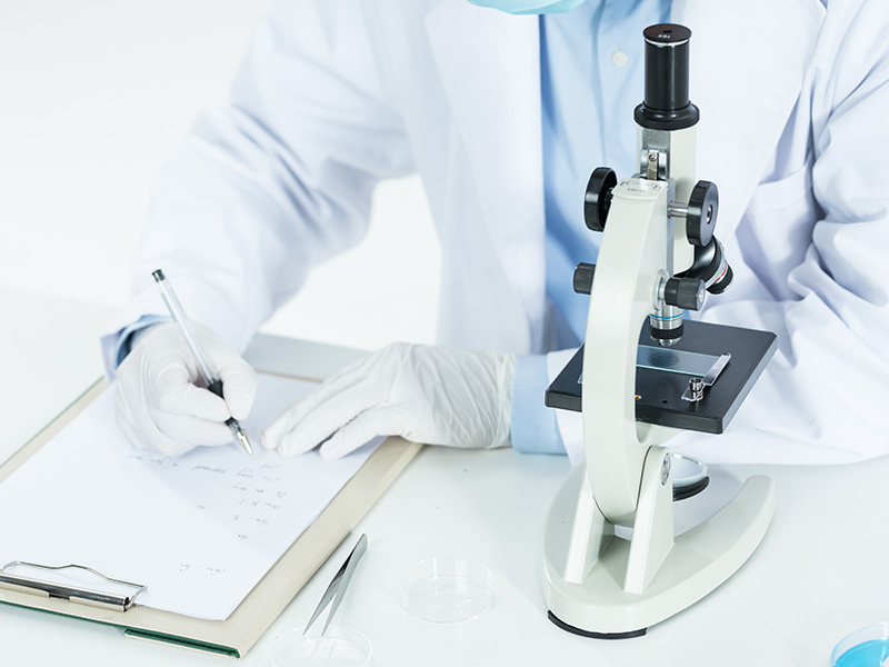 晶圆劈裂设备及SEM拍摄