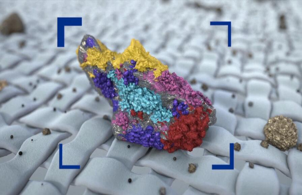 XPS与EDS的区别：元素分析技术对比